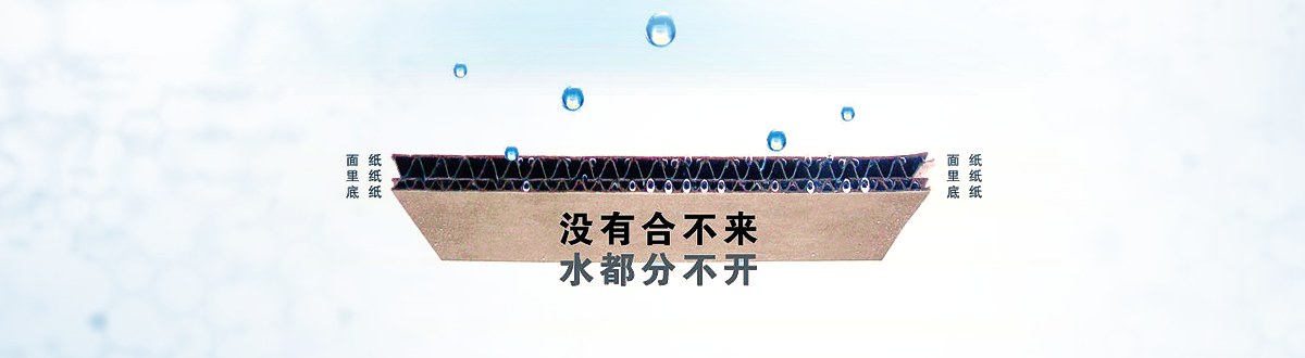 a1-banner.png